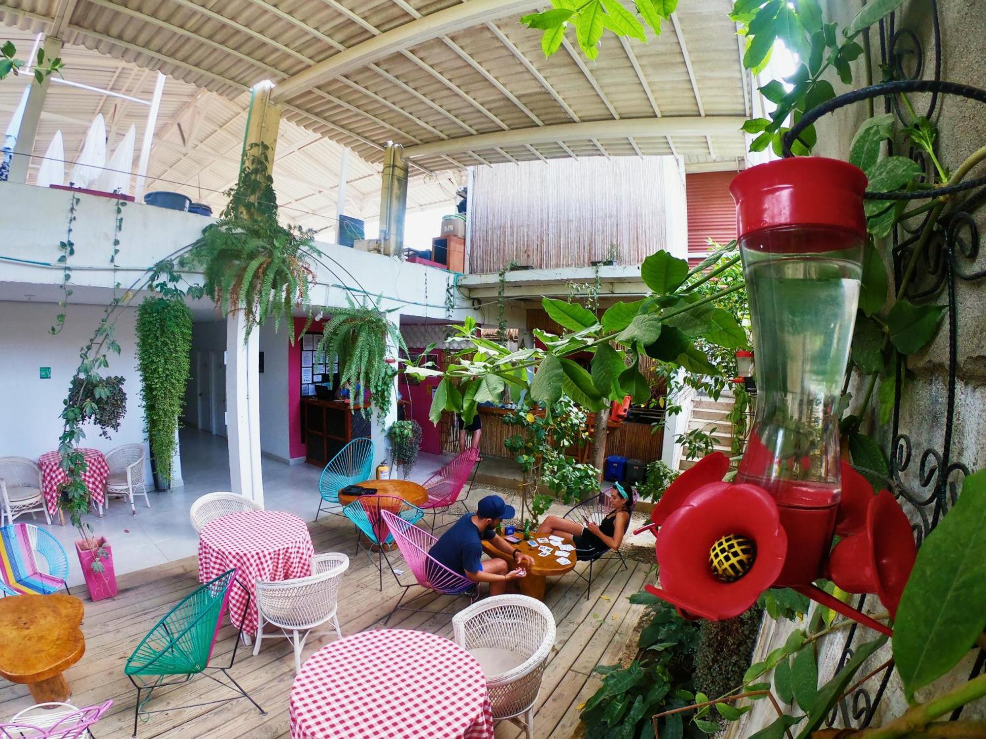 Hotel Casa Colibri Palomino Esterno foto